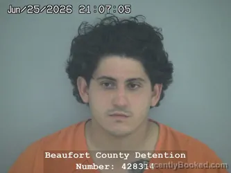 Mugshot of LUIS CARLOS ROJAS booked in Beaufort County, South Carolina on June 25, 2026