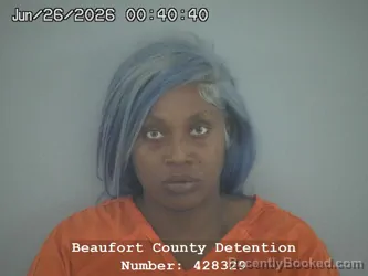 Mugshot of SAPPHIRE L WILLIAMS booked in Beaufort County, South Carolina on June 26, 2026