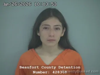 Mugshot of KAREN VERONICA ARCADIO GUTIERREZ booked in Beaufort County, South Carolina on June 26, 2026