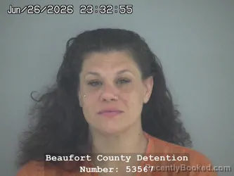 Mugshot of BRITTANY MICHAELA MILLS booked in Beaufort County, South Carolina on June 27, 2026