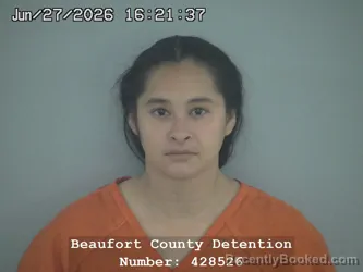 Mugshot of BEATRIS ALVARDO-FIGUEROA DE MORALES booked in Beaufort County, South Carolina on June 27, 2026