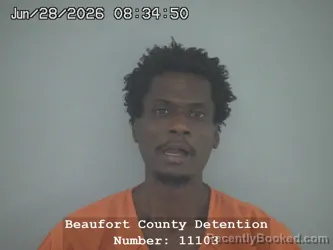 Mugshot of TREVON BROWN booked in Beaufort County, South Carolina on June 28, 2026