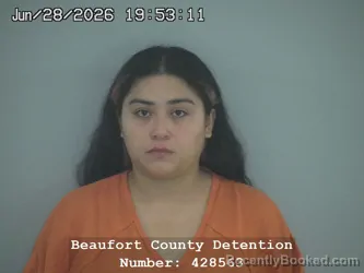 Mugshot of ITZEL VELASQUEZ-AZAMAR booked in Beaufort County, South Carolina on June 28, 2026