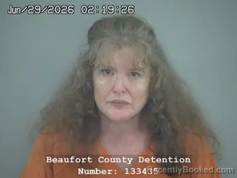 Mugshot of EILEEN PATRICIA COLLINS booked in Beaufort County, South Carolina on June 29, 2026