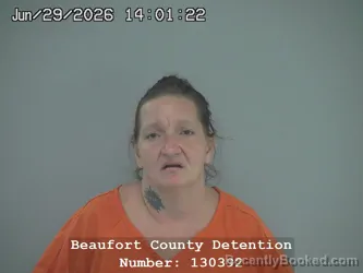 Mugshot of JACQUELINE NICOLE LYON-WILSON booked in Beaufort County, South Carolina on June 29, 2026