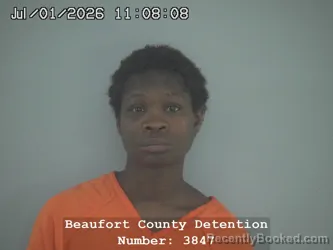 Mugshot of DIAMOND JESSICA CLARK booked in Beaufort County, South Carolina on July 1, 2026