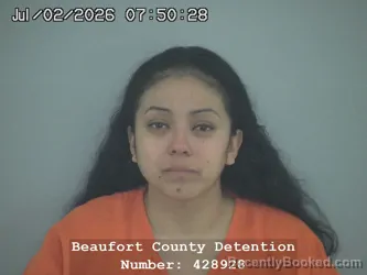 Mugshot of LEBIR DAIVELIS VILLATORO CASTILLO booked in Beaufort County, South Carolina on July 2, 2026