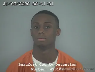 Mugshot of AUTHUR LEE EDWARDS booked in Beaufort County, South Carolina on July 2, 2026