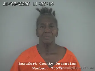 Mugshot of SARAH ANN JENKINS booked in Beaufort County, South Carolina on July 3, 2026
