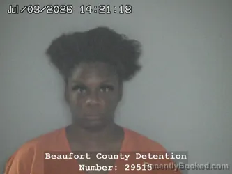 Mugshot of SHAWNQUE N M WILLIAMS booked in Beaufort County, South Carolina on July 3, 2026