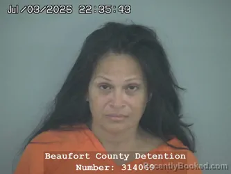 Mugshot of KAREN COLLISHAW booked in Beaufort County, South Carolina on July 3, 2026