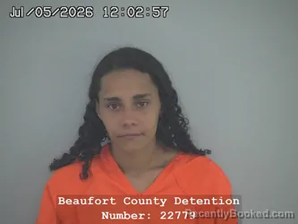 Mugshot of DESARAE SHANECE JETT booked in Beaufort County, South Carolina on July 5, 2026
