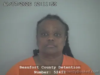 Mugshot of VANESSIA ANN GADSON booked in Beaufort County, South Carolina on July 7, 2026