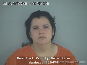 Mugshot of DANIA Y CASTELLANOS GONZALES booked in Beaufort County, South Carolina on July 14, 2026