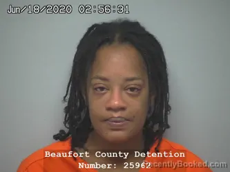 Mugshot of TESHA LAQUEITA POLITE booked in Beaufort County, South Carolina on July 19, 2026