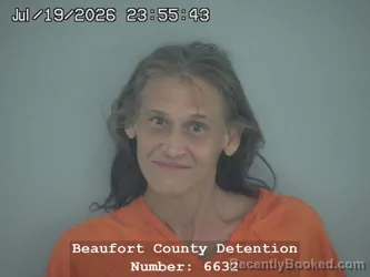 Mugshot of ELISABETH LUCILLE ELLIS HARSHA booked in Beaufort County, South Carolina on July 20, 2026