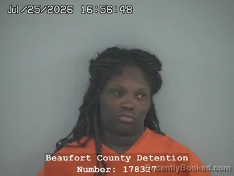 Mugshot of Brianna Lakeia Watson booked in Beaufort County, South Carolina on July 25, 2026
