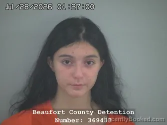 Mugshot of Penelope Tsironis booked in Beaufort County, South Carolina on July 28, 2026