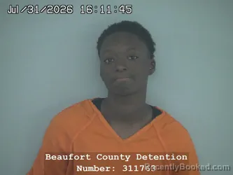 Mugshot of Amya Shavonne Gedeon booked in Beaufort County, South Carolina on July 31, 2026