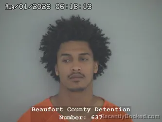 Mugshot of Elijah Maurice Johnson booked in Beaufort County, South Carolina on August 1, 2026