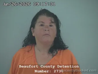 Mugshot of ELIZABETH HELEN PINCKNEY booked in Beaufort County, South Carolina on August 2, 2026