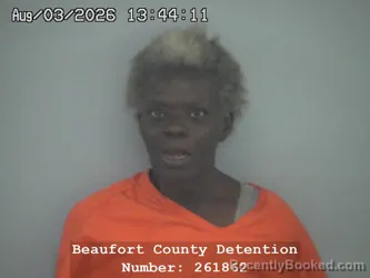 Mugshot of ANNIE MAE SIMMONS booked in Beaufort County, South Carolina on August 3, 2026