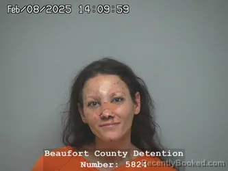 Mugshot of Kimberly Ann Ciminello booked in Beaufort County, South Carolina on August 10, 2026