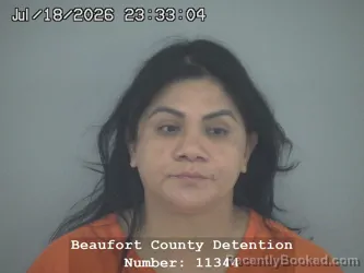 Mugshot of Cristina Hernandez-Garcia booked in Beaufort County, South Carolina on August 16, 2026