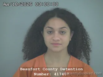 Mugshot of Paige Patricia Prioleau booked in Beaufort County, South Carolina on August 18, 2026