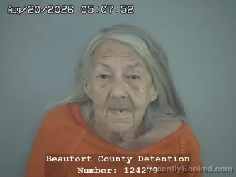 Mugshot of Ellen Gail Lovas booked in Beaufort County, South Carolina on August 19, 2026