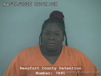 Mugshot of Sasha Renea Ryan booked in Beaufort County, South Carolina on August 21, 2026