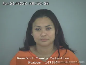 Mugshot of Tania Marilu Flores-Benitez booked in Beaufort County, South Carolina on August 21, 2026