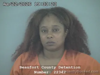 Mugshot of Brittany Diane Deveaux booked in Beaufort County, South Carolina on August 22, 2026