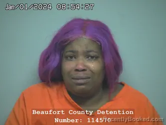 Mugshot of Gennequa Verdelle Robinson booked in Beaufort County, South Carolina on September 3, 2026