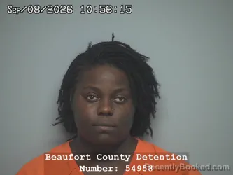 Mugshot of Nykeidra Jada Nicole Stevens booked in Beaufort County, South Carolina on September 8, 2026
