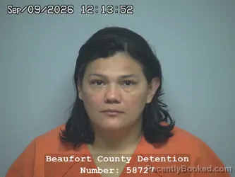 Mugshot of Yenny M Ponce Perez booked in Beaufort County, South Carolina on September 9, 2026