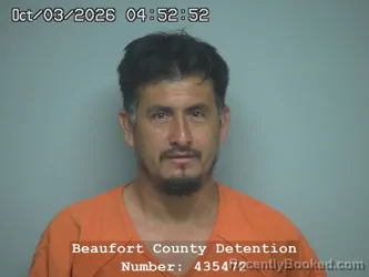 Mugshot of Delmer Orlando Fernandez Corea booked in Beaufort County, South Carolina on October 3, 2026