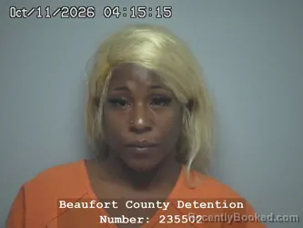 Mugshot of Tyeshia Adrianna Clark booked in Beaufort County, South Carolina on October 11, 2026
