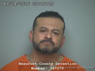 Mugshot of Sergio Hernandez Andrade booked in Beaufort County, South Carolina on October 24, 2026