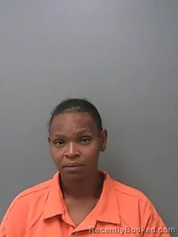Mugshot of Julie M Barnfield booked in Hale County, Alabama on August 24, 2026