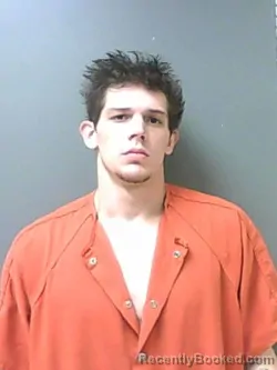Mugshot of MICHEAL HERITAGE