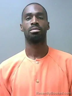 Mugshot of RODNEY TERRELL WILLIAMS