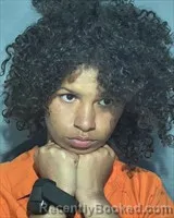 Mugshot of Samantha Jeanette Dubose booked in Houston County, Alabama on March 24, 2026