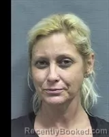 Mugshot of Lisa Marie Smith booked in Houston County, Alabama on May 21, 2026