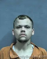 Mugshot of Shannon Glenn Spinks