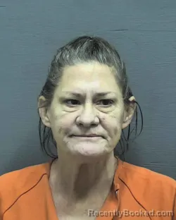 Mugshot of Penny Sue Wilkerson