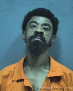 Mugshot of Willie Earl Dozier