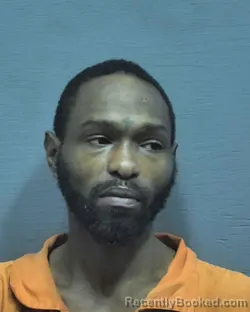 Mugshot of Silas George King