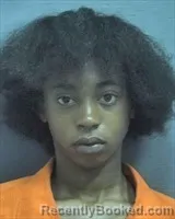 Mugshot of Naakia Eunique McCall booked in Houston County, Alabama on March 26, 2026