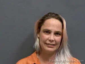 Mugshot of Tamara Nicole Todd